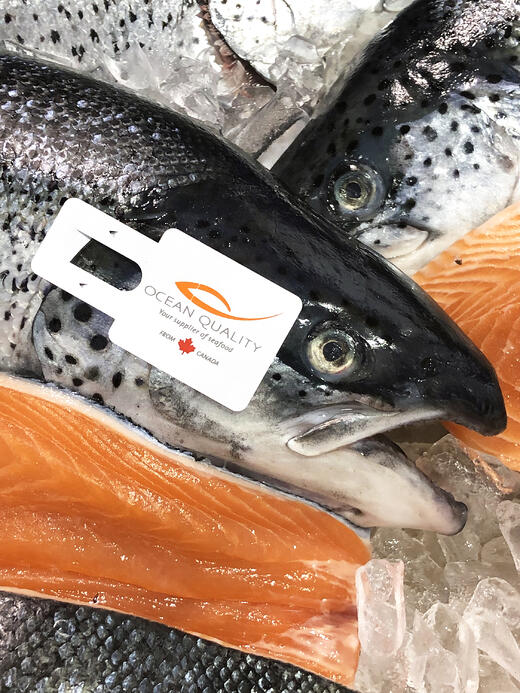 Hand applied gill tag