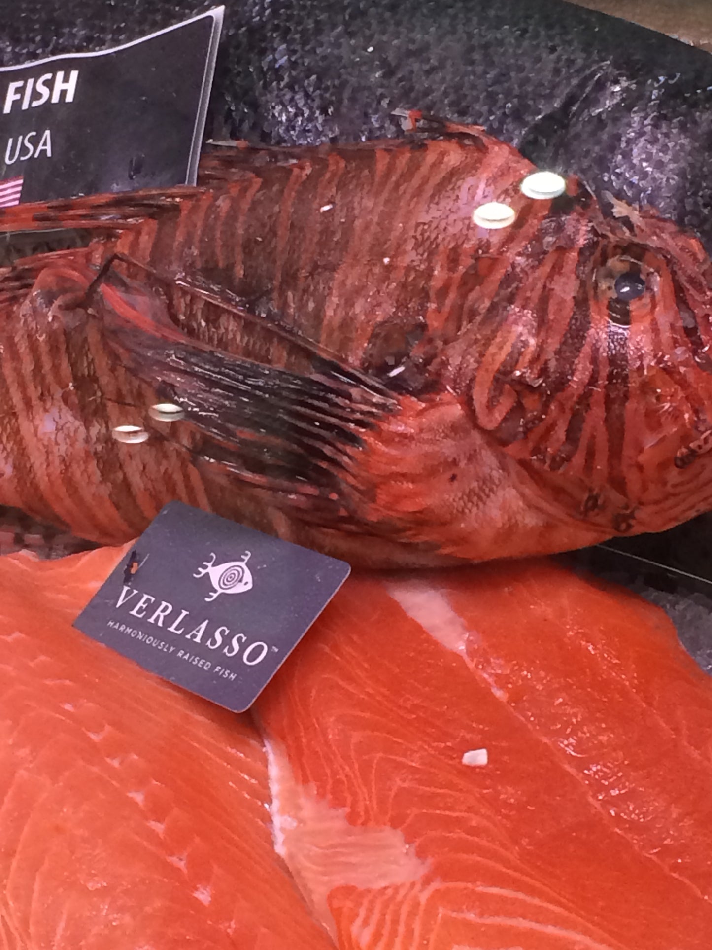 Fillet Tags
