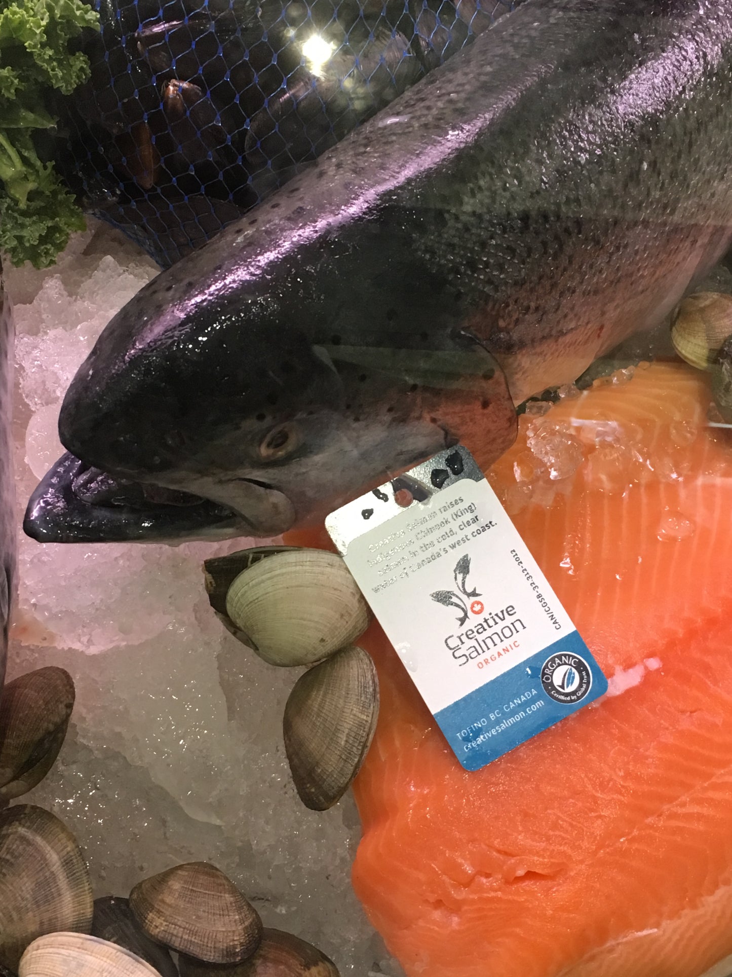 Fillet Tags