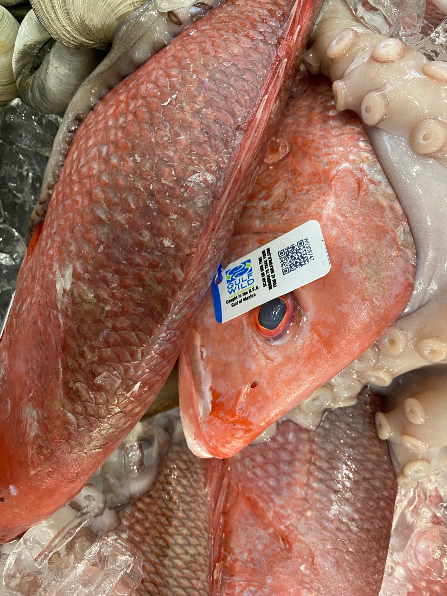 Gill Tags