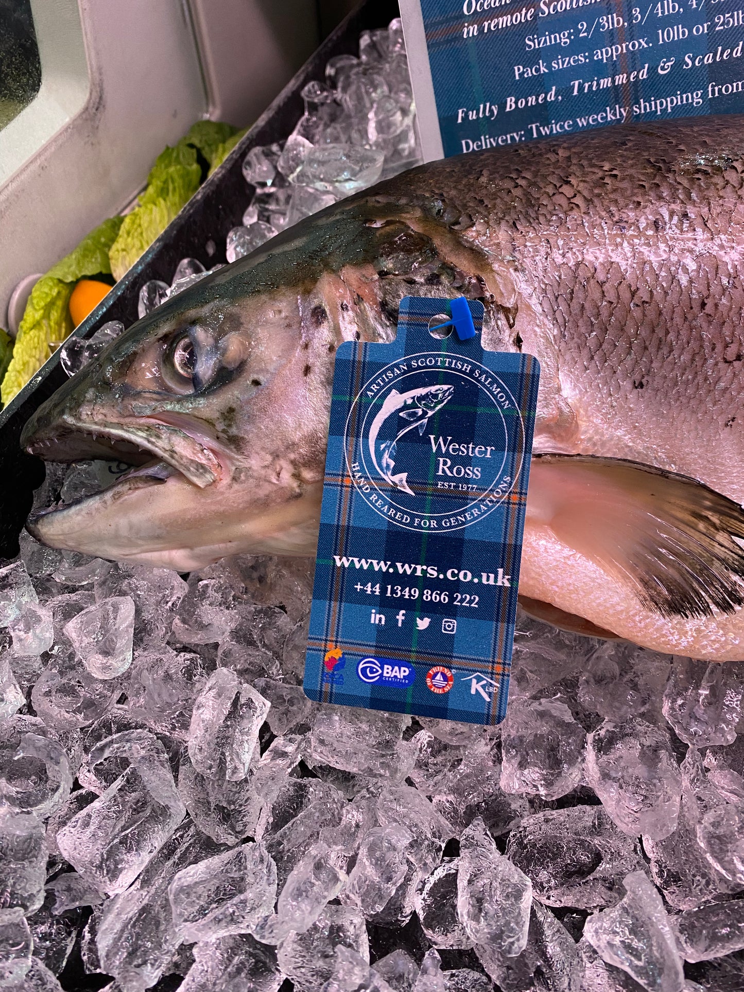 Gill Tags