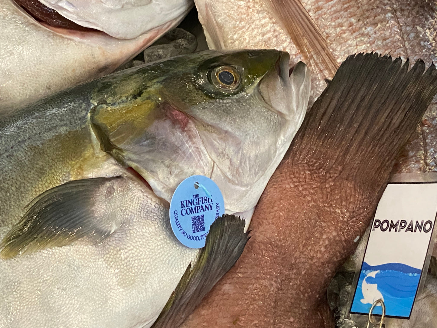 Gill Tags