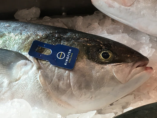 hand applied gill tag